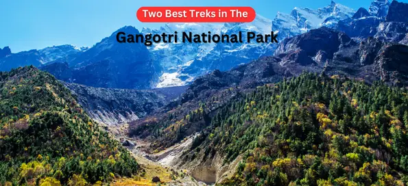 Two Best Treks in The Gangotri National Park